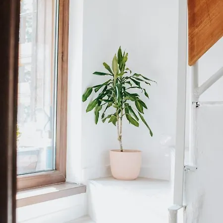 край реката Appartement Botevgrad