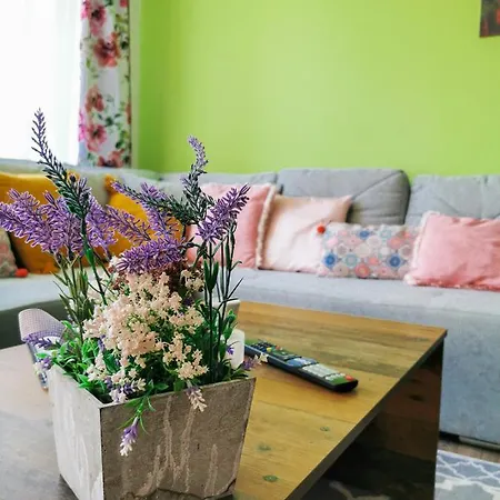 край реката Appartement *